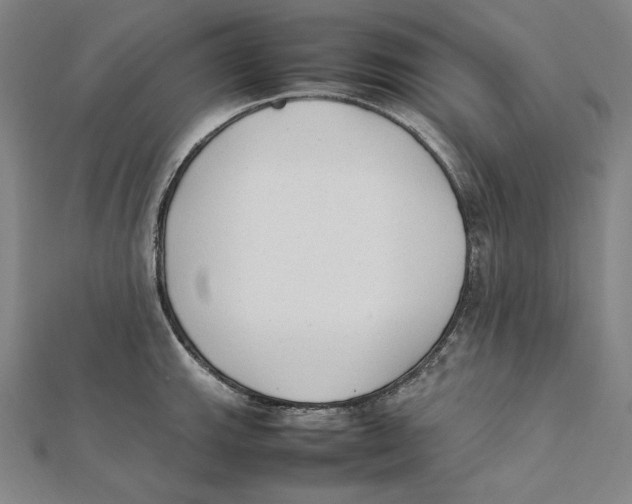 X0000112041143200908311231