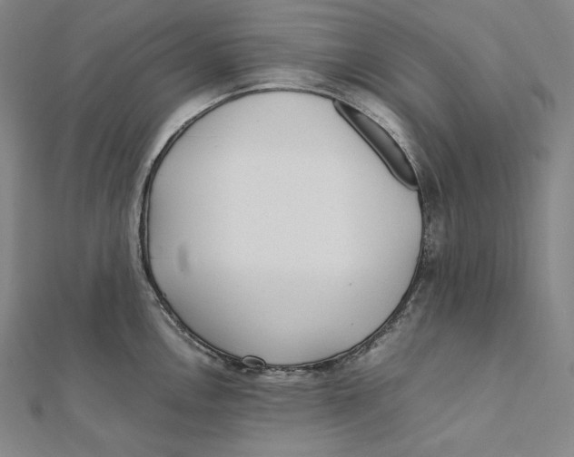 X0000112041146200908311231