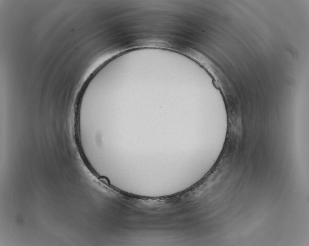 X0000112041147200908311231