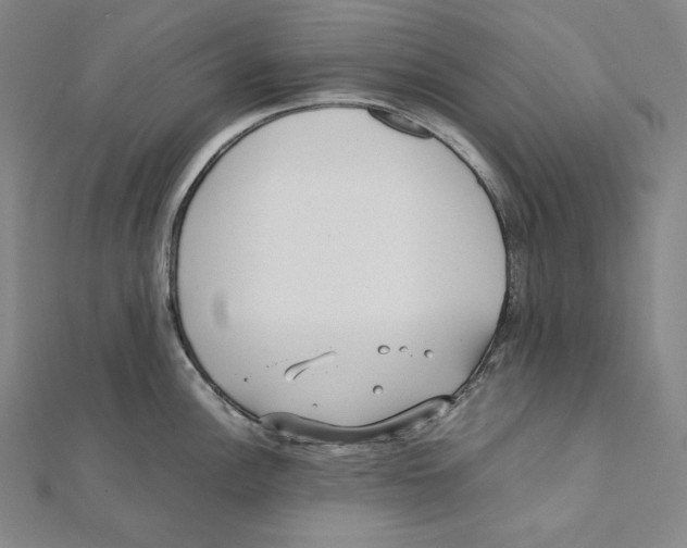 X0000112041148200908311231
