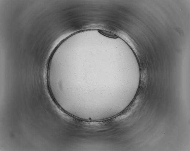 X0000112041149200908311231