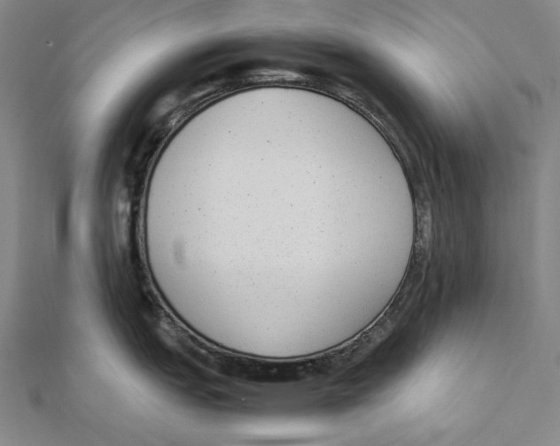 X0000112041151200908311231