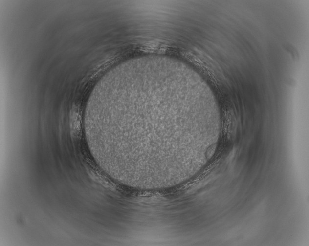X0000112041154200908311230