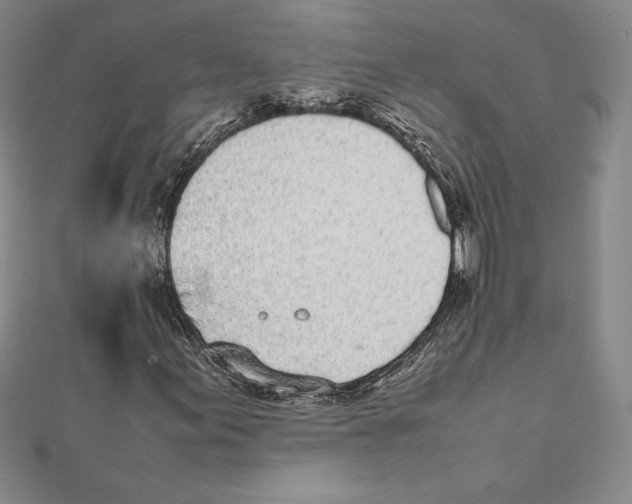 X0000112041155200908311230