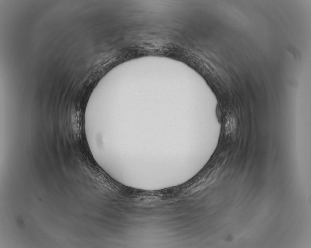 X0000112041156200908311230