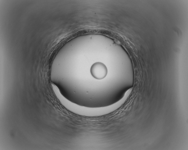 X0000112041157200908311230