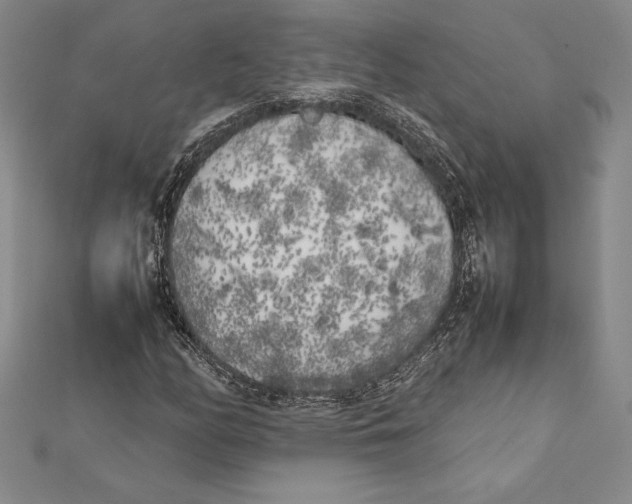 X0000112041158200908311230
