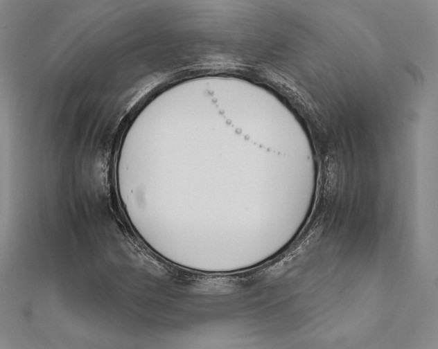 X0000112041162200908311230