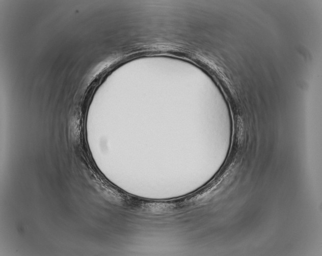 X0000112041163200908311230