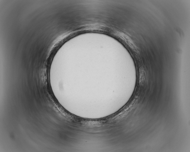 X0000112041164200908311230