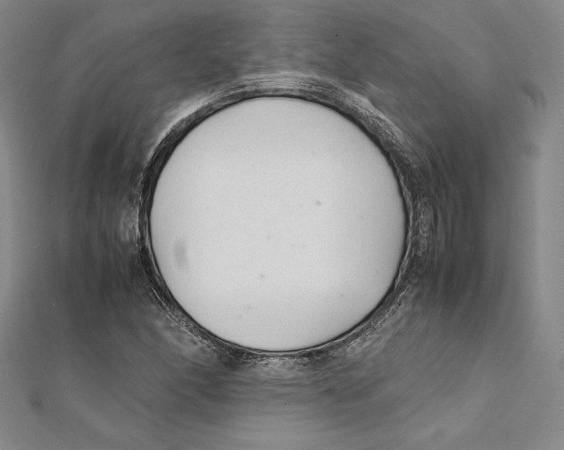 X0000112041166200908311230