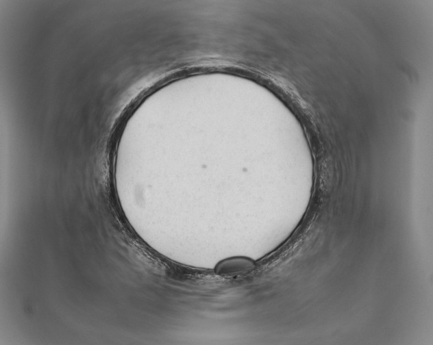 X0000112041167200908311230