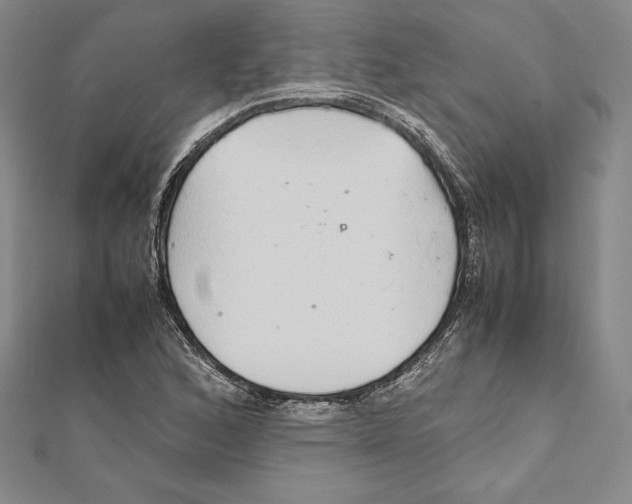 X0000112041168200908311230