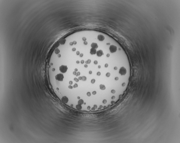 X0000112041170200908311230