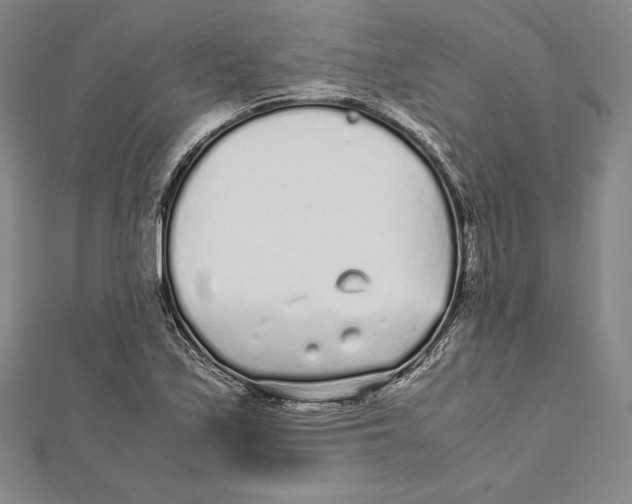 X0000112041171200908311230