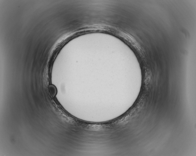 X0000112041172200908311230