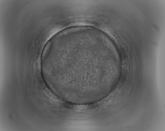 X0000112041173200908311230