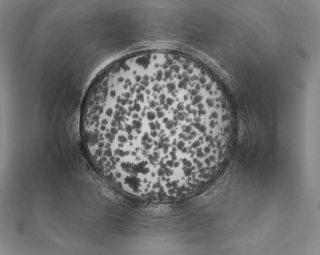X0000112041174200908311230