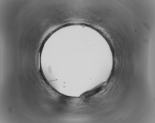 X0000112041175200908311230