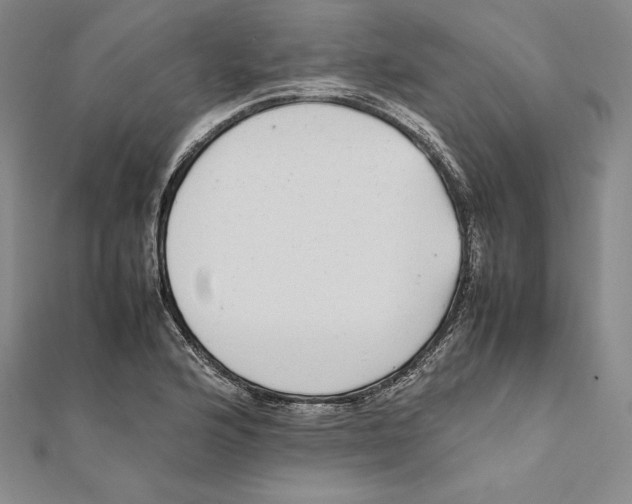 X0000112041176200908311230
