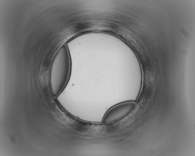 X0000112041177200908311230