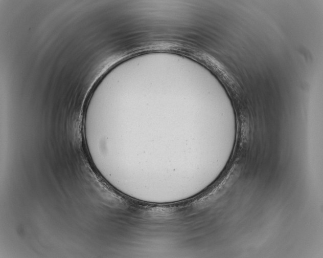 X0000112041178200908311230