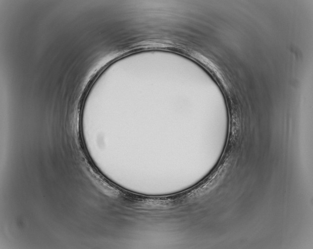 X0000112041179200908311230