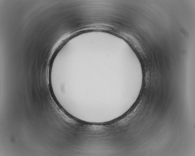 X0000112041180200908311230