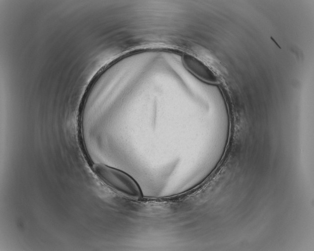 X0000112041181200908311230