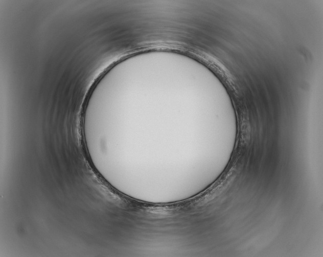 X0000112041182200908311230