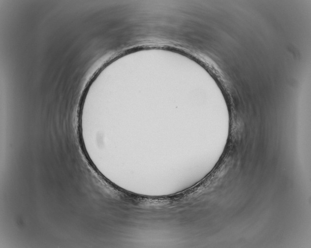 X0000112041183200908311230