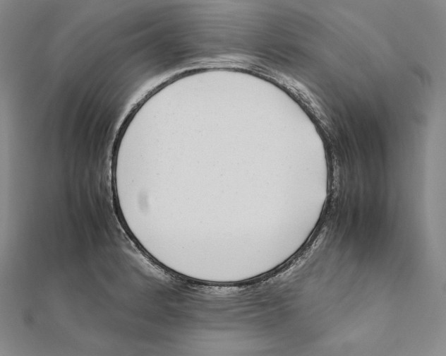 X0000112041184200908311230