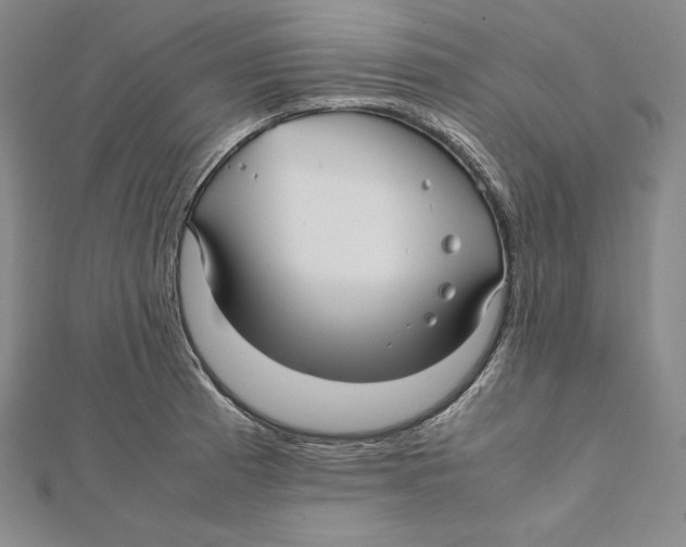 X0000112041185200908311230