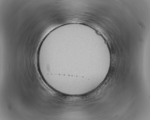 X0000112041187200908311230