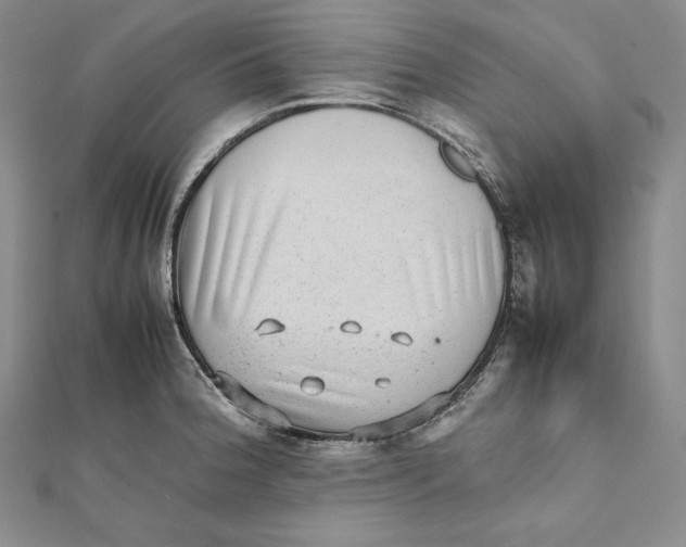 X0000112041188200908311230