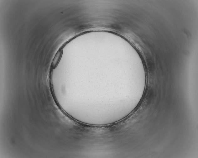 X0000112041189200908311229