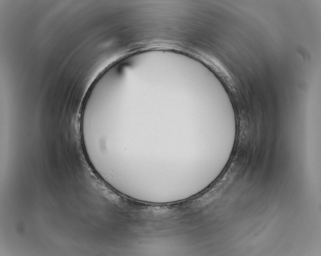 X0000112041190200908311229