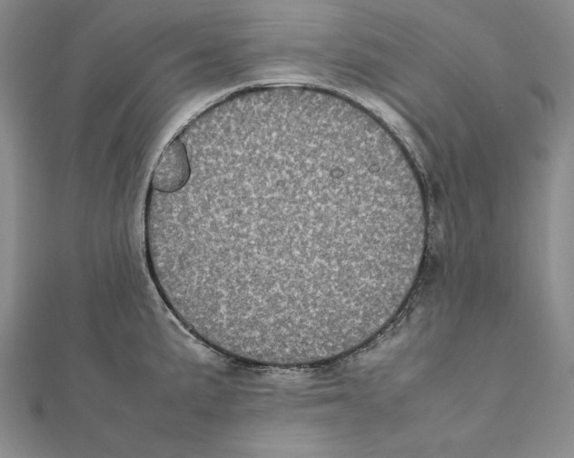 X0000112041191200908311229