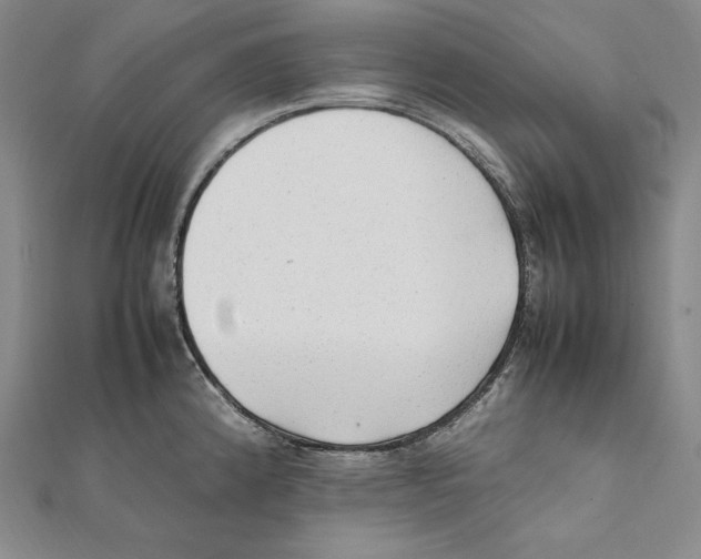 X0000112041192200908311229