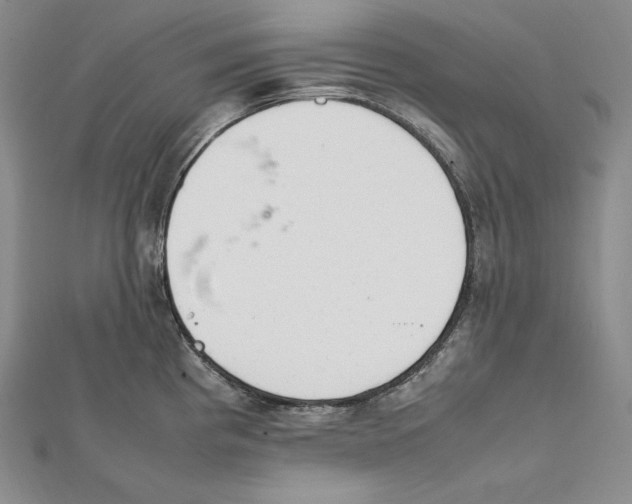 X0000112041193200908311229