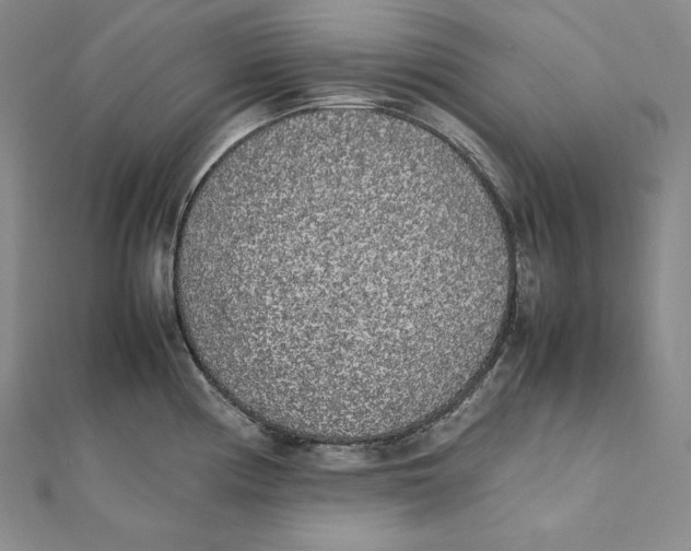 X0000112041194200908311229