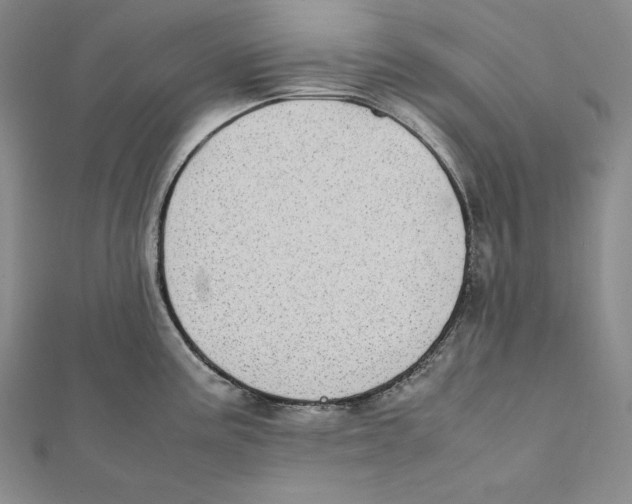X0000112041195200908311229