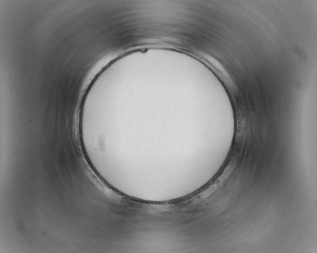 X0000112041196200908311229