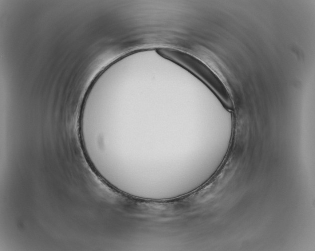 X0000112041197200908311229