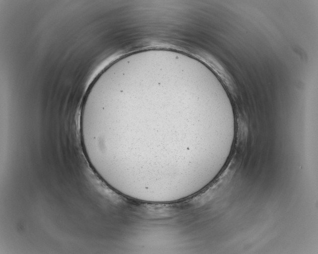 X0000112041198200908311229