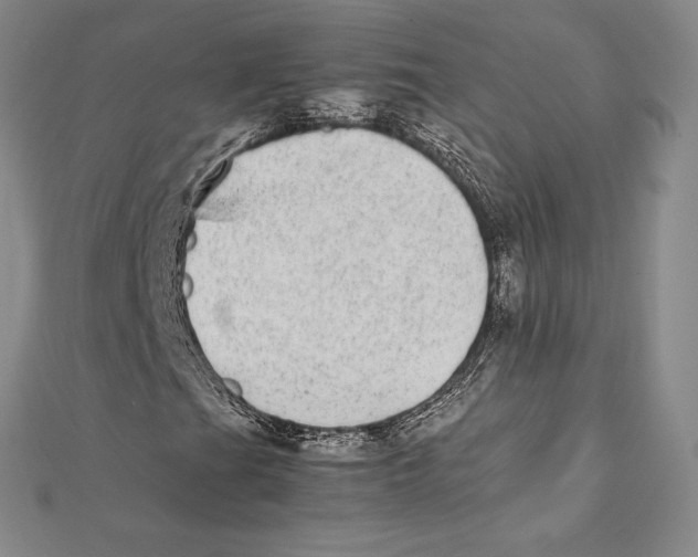 X0000112041201200908311229