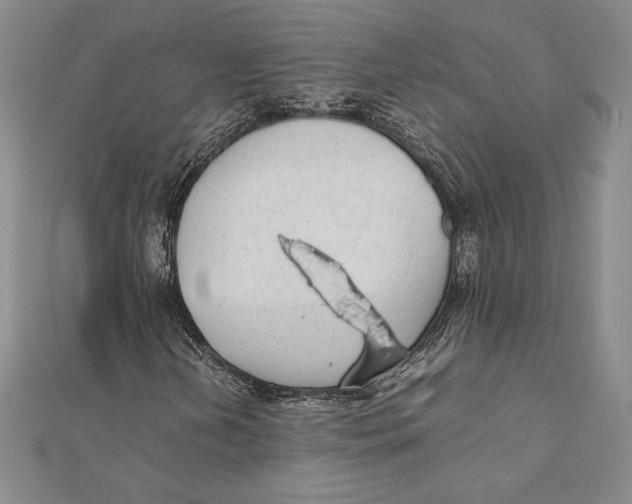 X0000112041202200908311229
