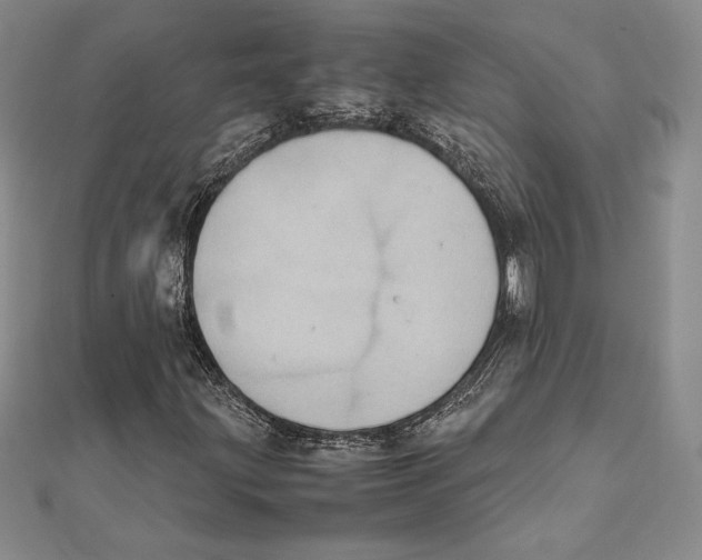 X0000112041203200908311229