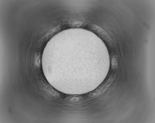X0000112041204200908311229