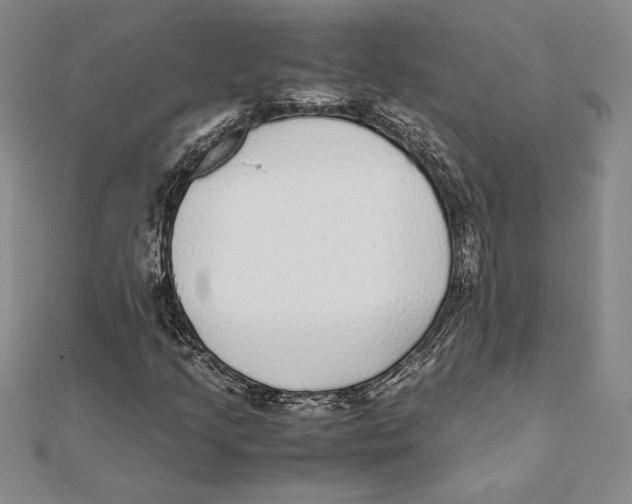 X0000112041205200908311229